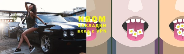 прущий лед Дмитриев