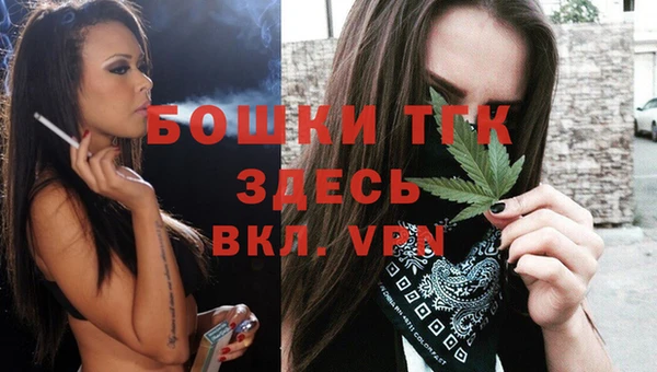 стаф Дмитров