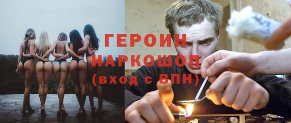 стаф Дмитров