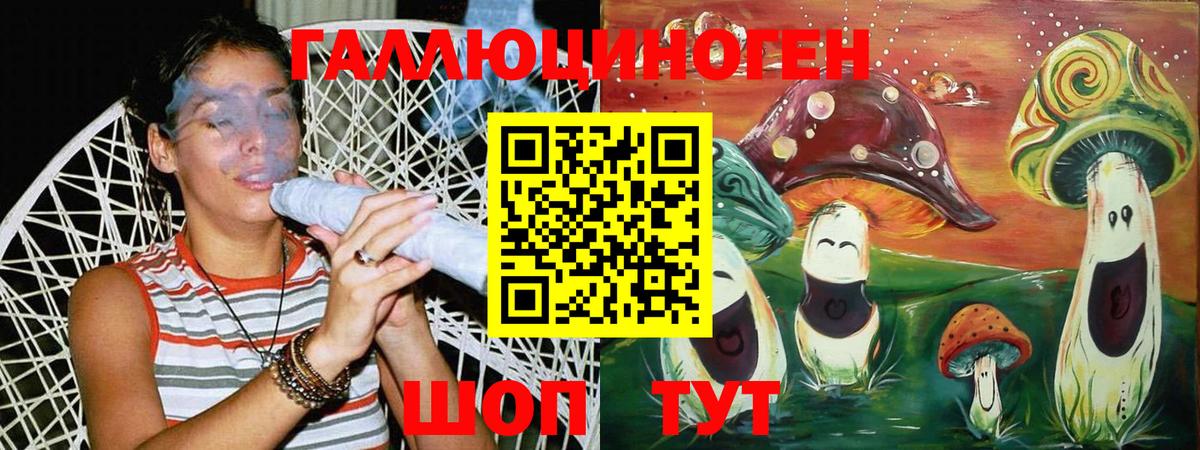 Псилоцибиновые грибы MAGIC MUSHROOMS  Вход с VPN  Псилоцибиновые грибы GOLDEN TEACHER  Нурлат 