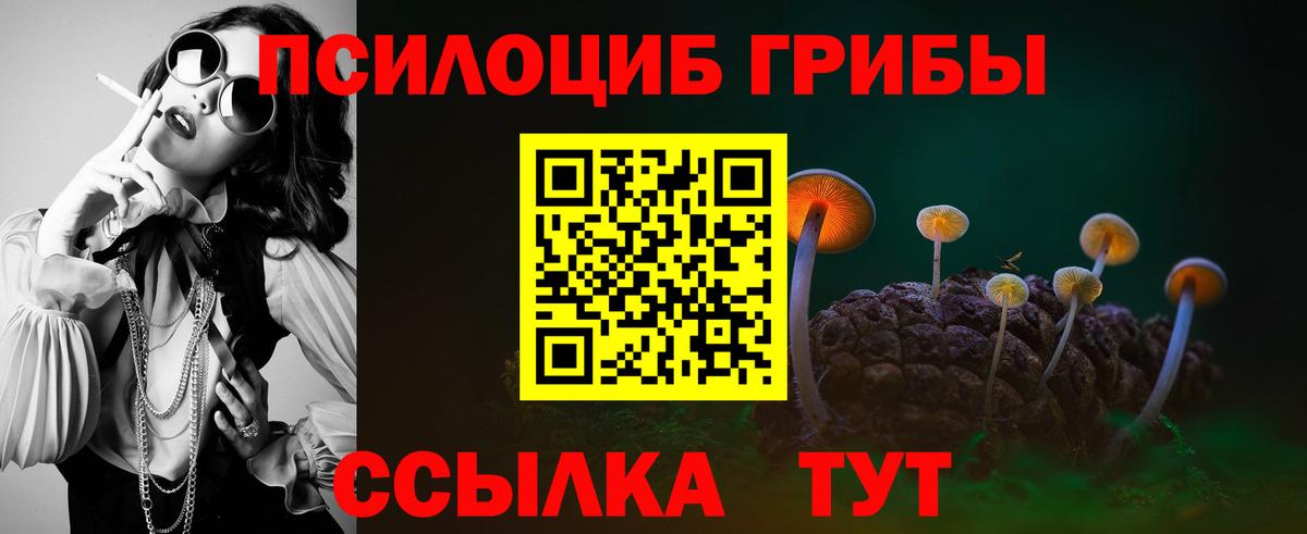 Псилоцибиновые грибы GOLDEN TEACHER  Нурлат 