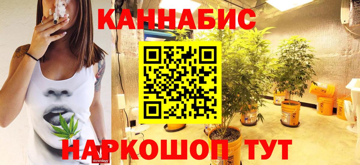 Канабис Amnesia  Нурлат  Бошки марихуана тримм  Канабис сатива 